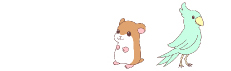 極小動物