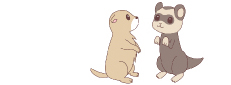 小動物