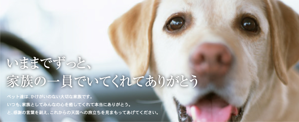 豊中,ペット霊園,ペット火葬,ペット供養,ペット葬儀