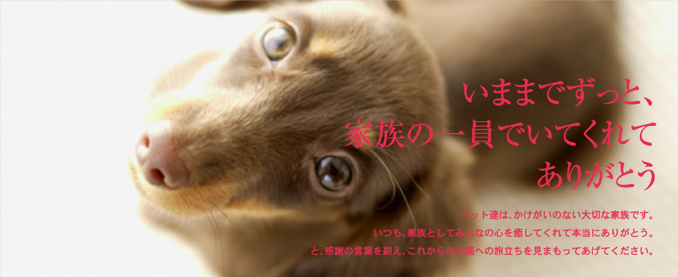 ペットセレモニー豊中・大阪市・西宮市・芦屋市・尼崎市